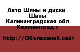 Авто Шины и диски - Шины. Калининградская обл.,Калининград г.